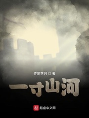 一寸山河