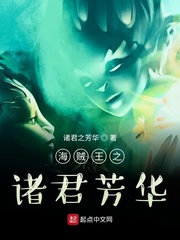 海贼王之诸君芳华