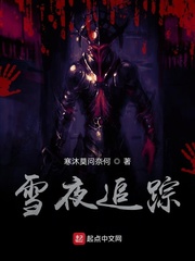 雪夜追踪