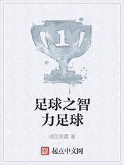 足球之智力足球
