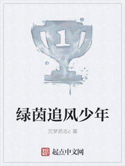 绿茵追风少年