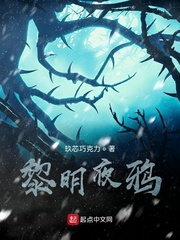 黎明夜鸦