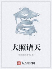大照诸天