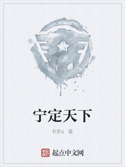 宁定天下