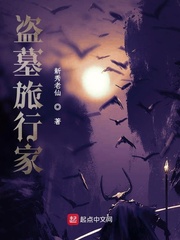 盗墓旅行家