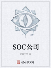 SOC公司