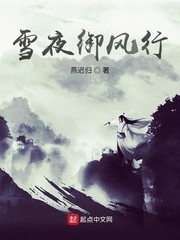 雪夜御风行