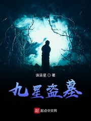 九星盗墓