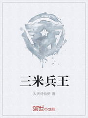 三米兵王