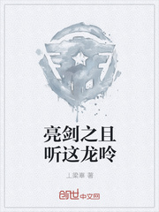 亮剑之且听这龙呤