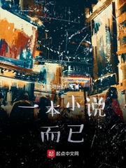 一本小说而已