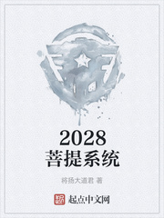2028菩提系统