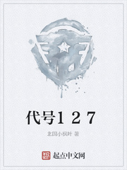 代号127