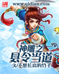 神雕之县令当道