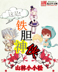 铁胆神侠