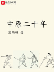 中原二十年