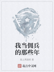 我当佣兵的那些年