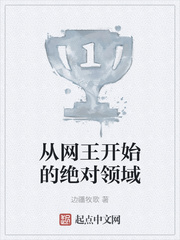 从网王开始的绝对领域