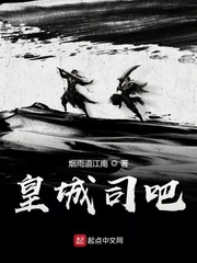 皇城司吧