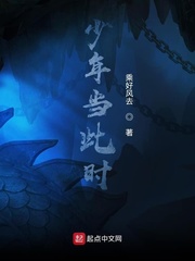 少年当此时
