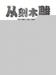 从刻木雕开始修仙