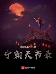 宁朝天书录