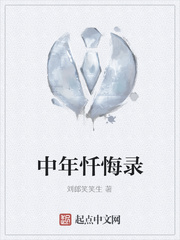 中年忏悔录