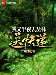 我又半夜去丛林送快递