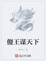 傻王谋天下