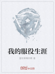 我的服役生涯