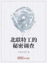 北联特工的秘密调查