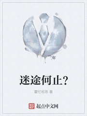 迷途何止？