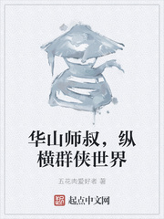 华山师叔，纵横群侠世界