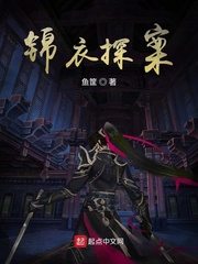 锦衣探案