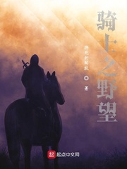 骑士之野望