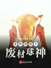 逐梦绿茵之废材球神