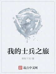 我的士兵之旅