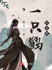 一只鹤的夜晚