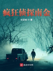 疯狂侦探南金