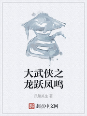 大武侠之龙跃凤鸣