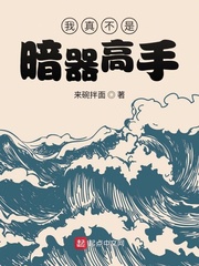 我真不是暗器高手