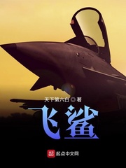 飞鲨