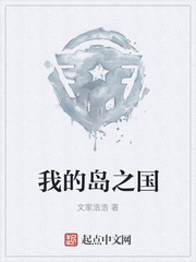 我的岛之国