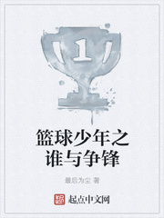 篮球少年之谁与争锋