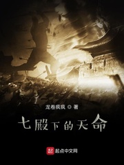 七殿下的天命