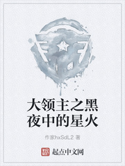 大领主之黑夜中的星火
