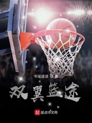 双翼篮途