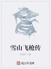 雪山飞枪传