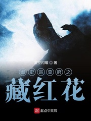御史巡查府之藏红花