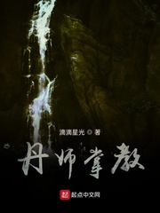 丹师掌教